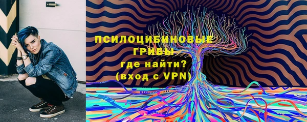 синтетический гашиш Коряжма