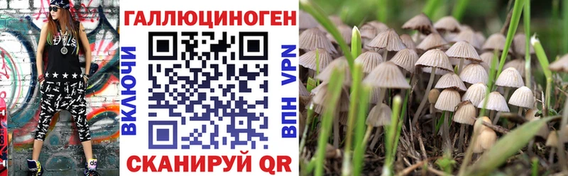 Псилоцибиновые грибы мухоморы  Кизилюрт 